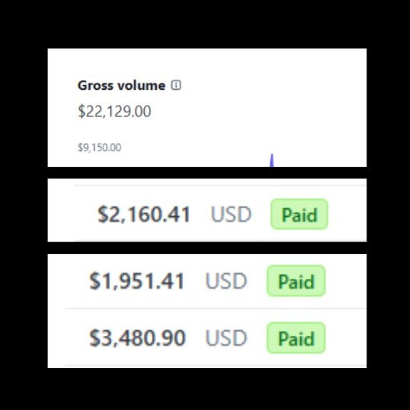 Screenshot of payments received from brands